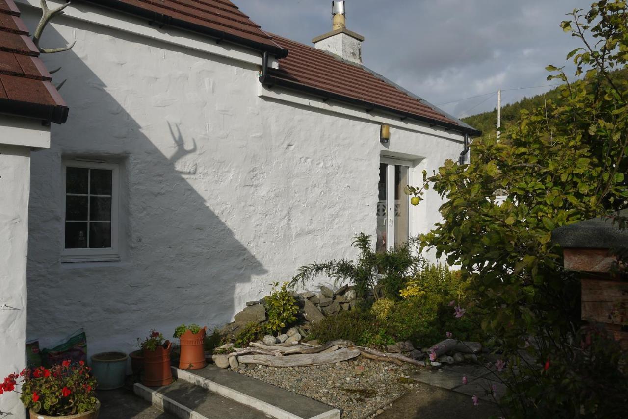Willow Cottage, Isle Of Arran Thundergay Buitenkant foto